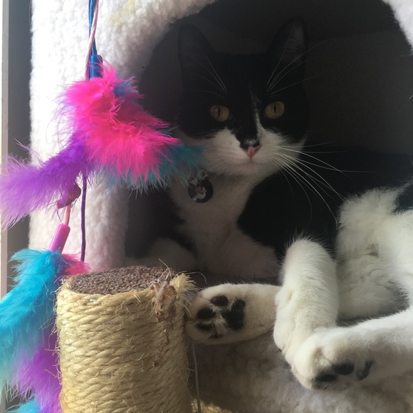 Hi ππΈ - Picture 4 of 7